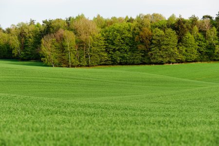 Rodzaje działek gruntowych - klasyfikacja