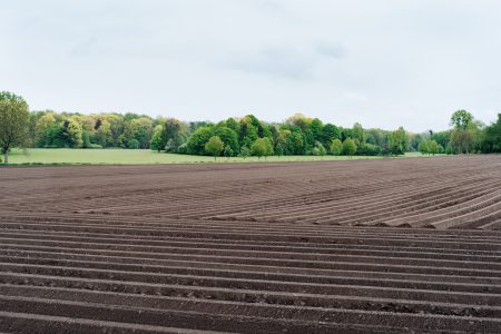Jak podzielić działkę rolną?