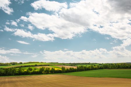 Scalanie i wymiana gruntów