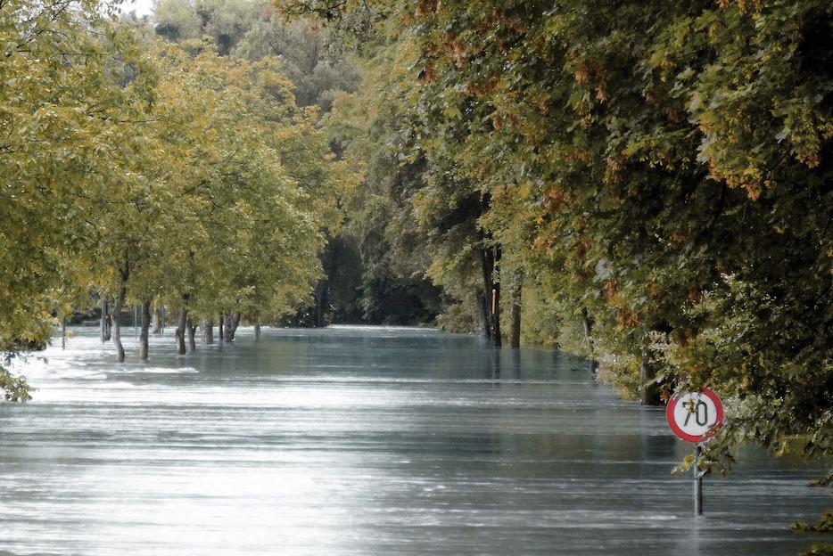 Obszary narażone na niebezpieczeństwo powodzi oraz obszary szczególnego zagrożenia powodzią.